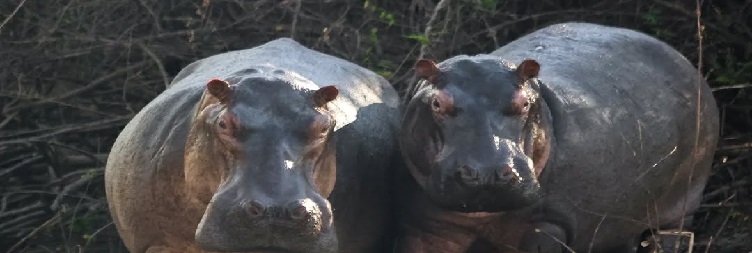 Lake Manyara National Park to Arusha