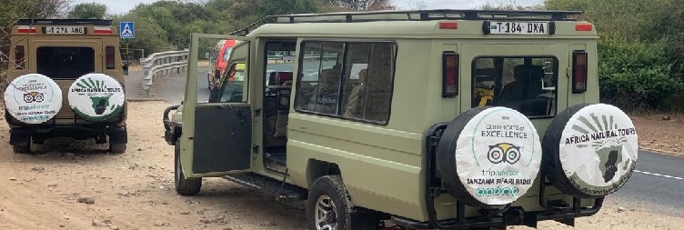Arusha to Tarangire National Park