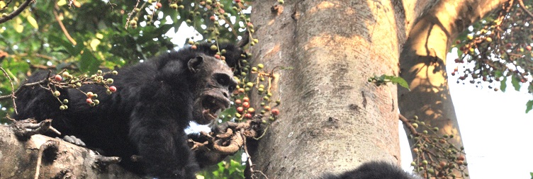  Lake Manyara National Park to Arusha