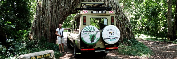 Forest Walk Tour in Arusha
