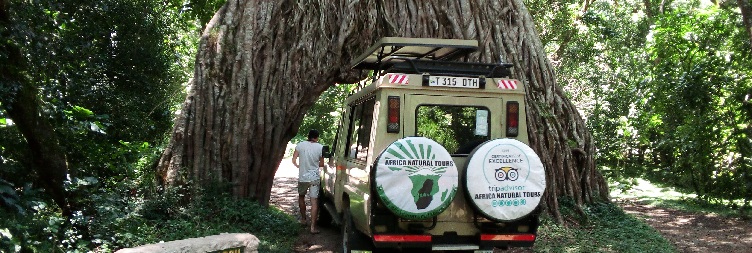From Moshi to Arusha National Park foothills forests