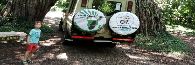 Forest Walk Tour in Arusha