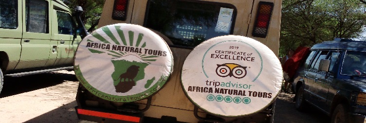 Arusha to Tarangire National Park