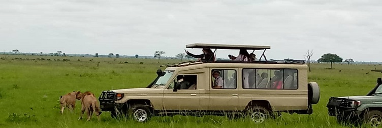 Serengeti National Park to Ngorongoro Conservation Area