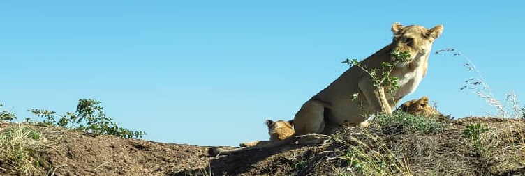Lake Manyara (Mto wa Mbu) to Serengeti National Park