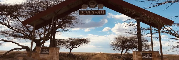 Arusha to Serengeti National Park