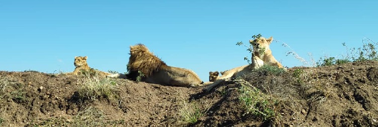 Serengeti National Park to Ngorongoro Conservation Area