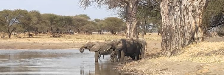 Moshi to Tarangire National Park