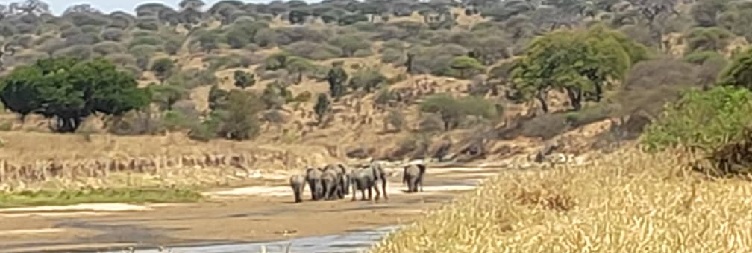 Tarangire National Park to Arusha