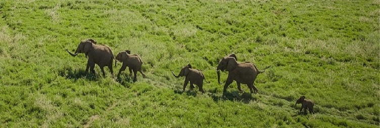 Lake Manyara (Mto wa Mbu) to Serengeti National Park