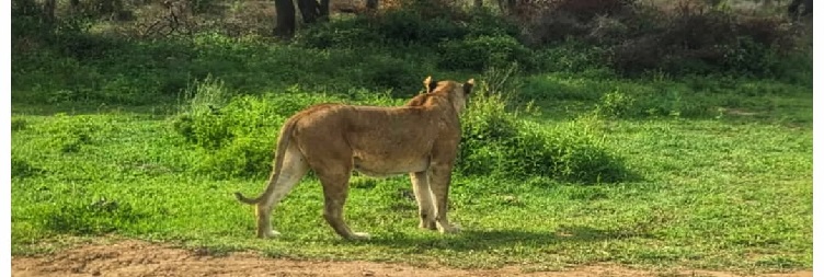  Ngorongoro Crater to Lake Manyara (Mto Wa Mbu)
