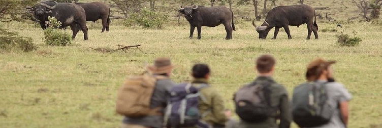 Drive to Ngorongoro Conservation Area & Guided Walking Safari