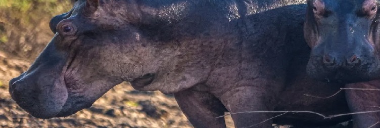 Lake Manyara National Park to Arusha