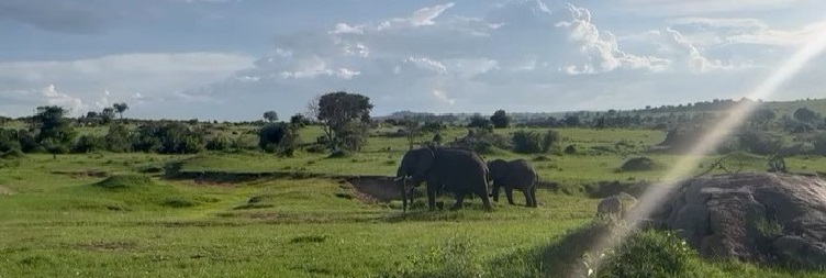 Serengeti National Park to Ngorongoro Conservation Area