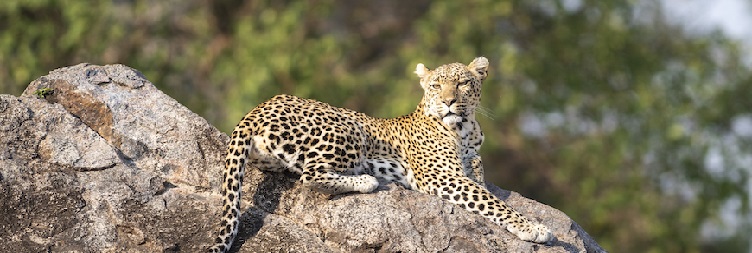 Lake Manyara National Park – Back to Arusha