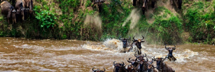 North Serengeti National Park (Kogatende) - Serengeti National Park (Central)