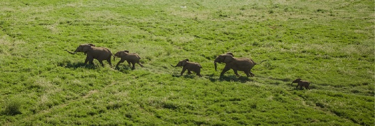 Mwanza to Serengeti National Park, back to Mwanza