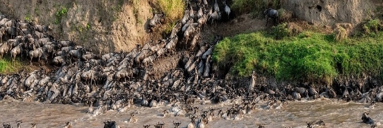 North Serengeti National Park (Kogatende) - Serengeti National Park (Central)