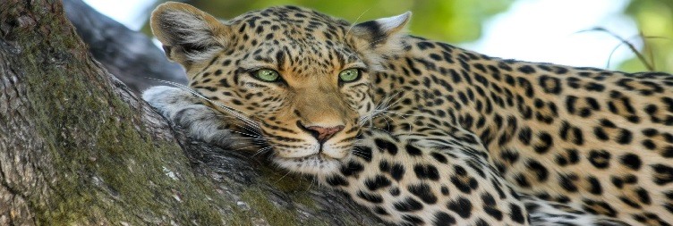 Lake Manyara National Park to Arusha – Fly to Zanzibar