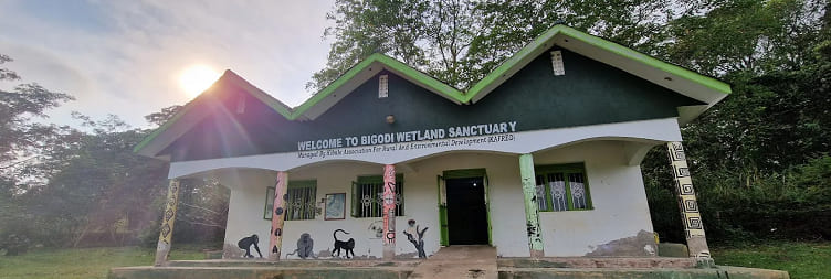 Chimpanzee Trekking & Bigodi Wetland Visit