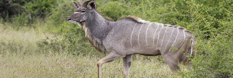 Lake Bogoria National Reserve to Lake Nakuru National Park