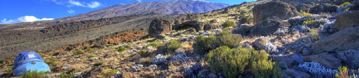 Moir Camp (4,200 meters) to Buffalo Camp (4,020 meters)