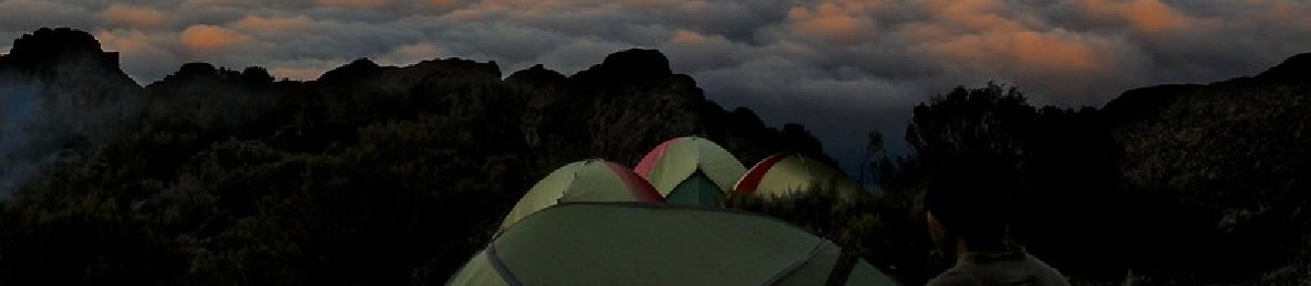 Moir Camp (4,200 meters) to Buffalo Camp (4,020 meters)