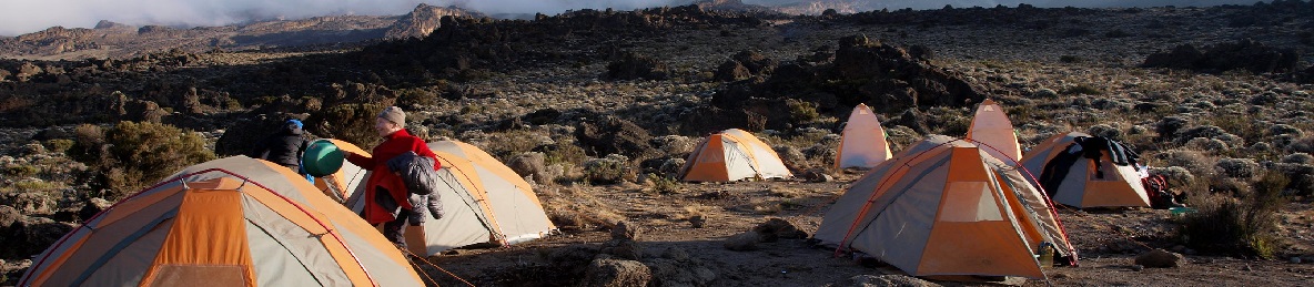 Moir Camp (4,200 meters) to Buffalo Camp (4,020 meters)