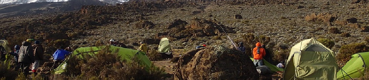 Moir Huts (4,200 meters) to Buffalo Camp (4,020 meters) 