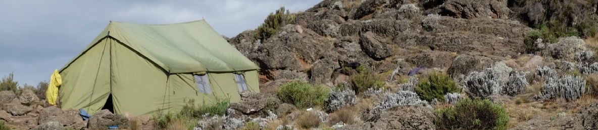 Moir Camp (4,200 meters) to Buffalo Camp (4,020 meters)