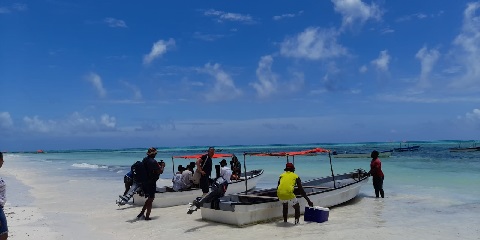 Best Tours from Bwejuu, Zanzibar: Top Day Trips, Excursions & Activities 2026/2027 - Top Africa Tours