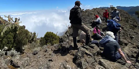 የ1 ቀን የግል ኪሊማንጃሮ የእግር ጉዞ ከኪሊማንጃሮ አየር ማረፊያ (ጄሮ)፣ ታንዛኒያ በሺራ መስመር በኩል