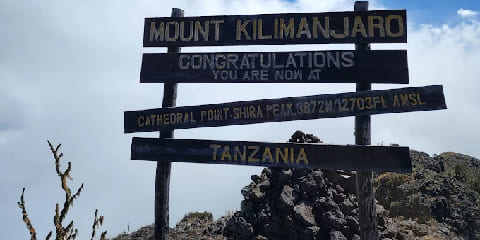 5 Days Group Budget Safari at Tour mula sa Moshi sa Tanzania (2026 - 2027)