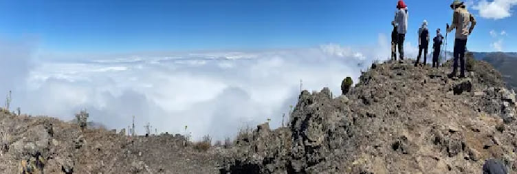 Kilimanjaro Day Hike (Shira Route) then transfer to Arusha