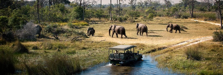Chobe National Park to Livingstone