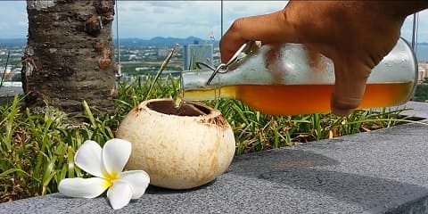 Safari ya Siku 1 ya Uzoefu wa Mvinyo wa Nazi Binafsi kutoka Lushoto, Tanga nchini Tanzania