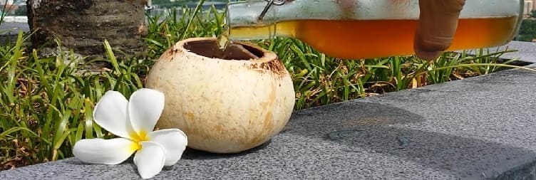 Private Coconuts Wine Experience Trip