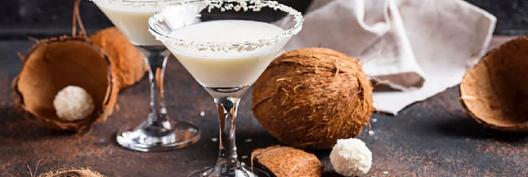 Moshi to Coconut Farm Visit to Wine Tasting to Return to Moshi