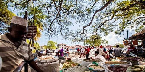 Half-Day Private Local Market Shopping Tour sa Kizimkazi, Zanzibar (2026 - 2027)