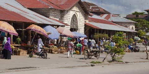 Tur Pasar Darajani Pribadi Setengah Dina saka Kiwengwa ing Zanzibar (2026 - 2027)