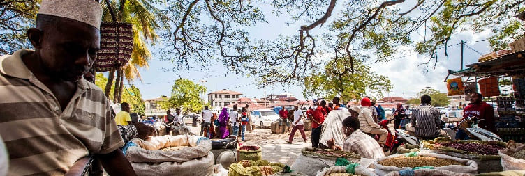 Local Market Shopping in Kizimkazi