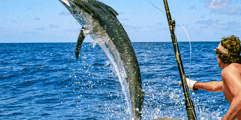 Zanzibaryň Çwaka şäherinde 1 günlük hususy deňiz balykçylygy ýa-da ýerli balykçylyk syýahaty (2026 - 2027)