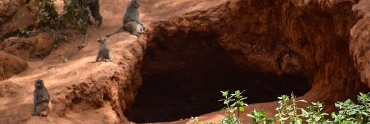  Ngorongoro Crater  To  Karatu