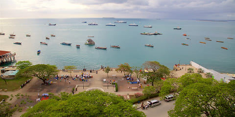 Hálfs dags einkatollgarðsferð frá Kiwengwa á Zanzibar (2026 - 2027)