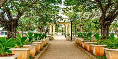 Tur Pribadi Setengah Hari di Taman Forodhani dari Mangapwani di Zanzibar (2026 - 2027)