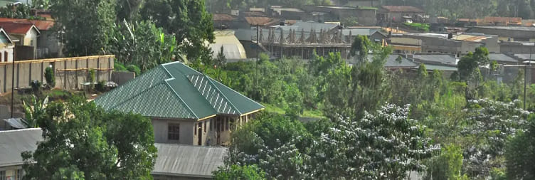 Arrival at Entebbe – Transfer to Kasese (Rwenzori Base Camp)