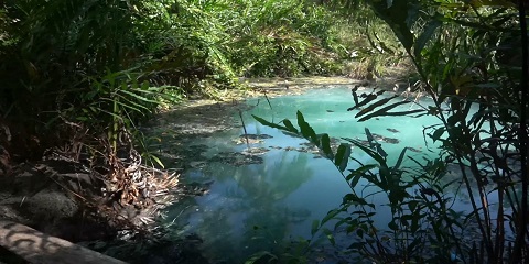 Perjalanan Pribadi 1 Hari Pemandian Air Panas Galanos Sulphur dari Lushoto, Tanzania (2026 - 2027)