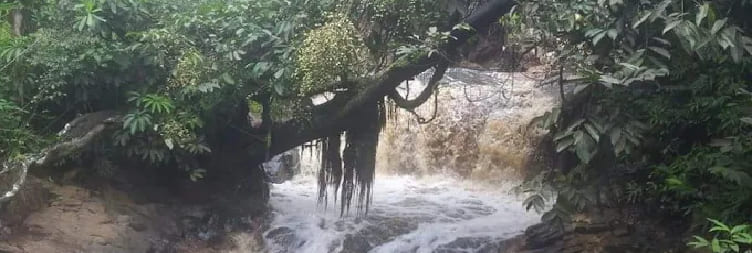 ජින්ජා සහ ග්‍රිෆින් ඇල්ල වෙත මාරු කරන්න