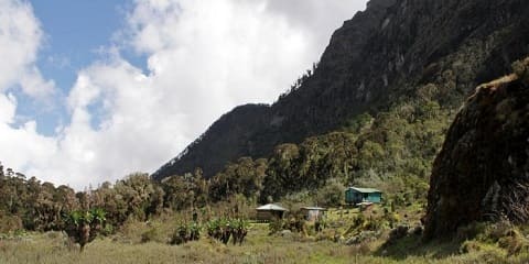 6-daagse Rwenzori-trekking vanuit Entebbe in Oeganda (2026 - 2027)