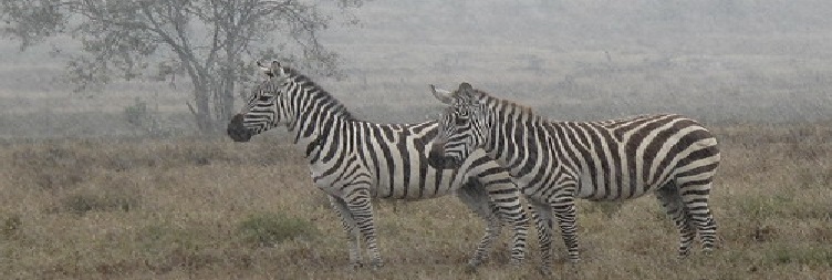 Hells Gate National Park and Lake Naivasha National Park